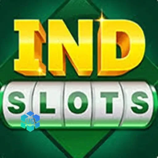 Logo indslot